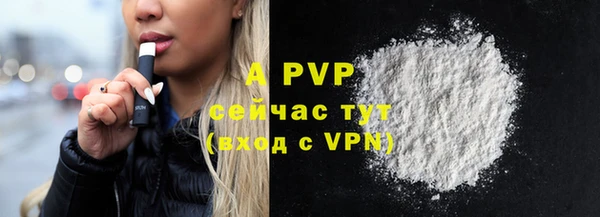 хмурый Богданович