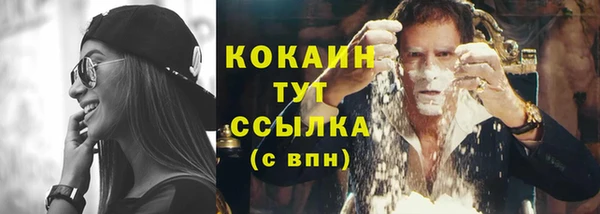индика Балахна