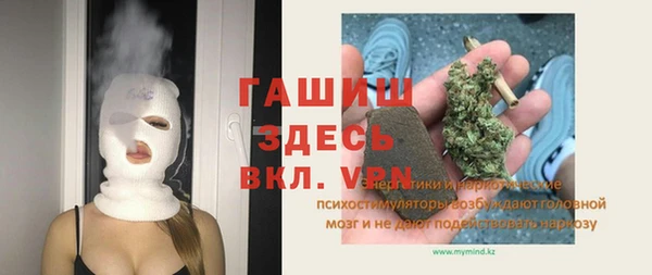 индика Балахна