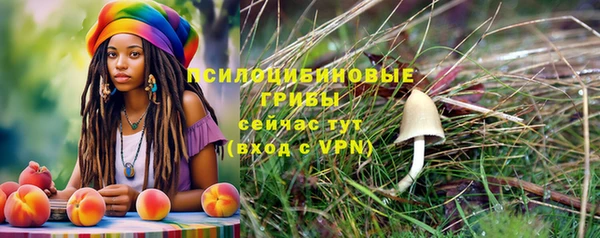 индика Балахна